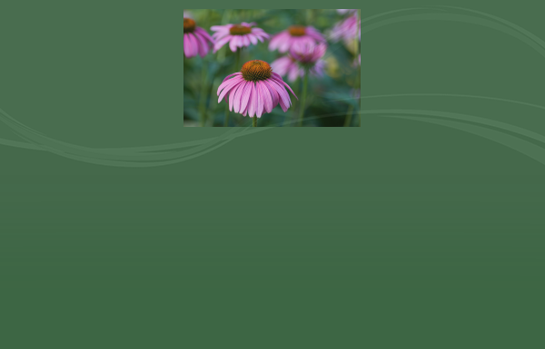 Herbal Care Package Gift Voucher for Nurses and Frontline Workers